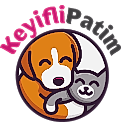 Keyifli Patim | Köpek Oteli | Köpek Pansiyonu