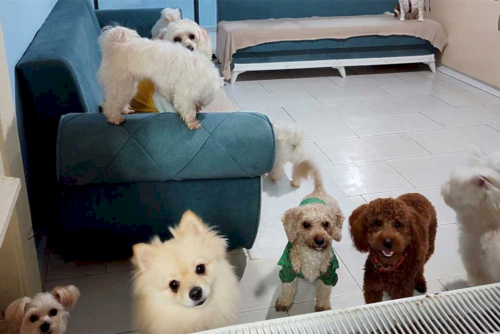 Keyifli Patim'de Genç Bir Nefes: Bilge Sağol Artık Aile Markasının Merkezinde